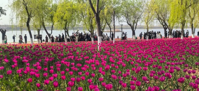 杨历敬开展巡林及林长制工作调研