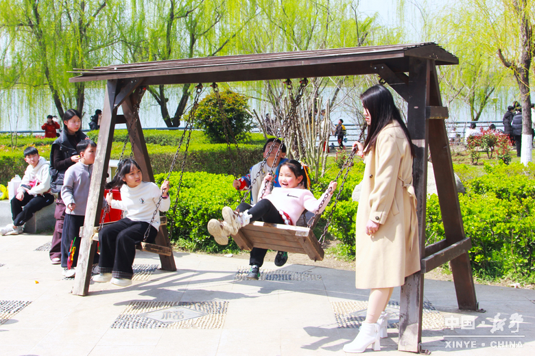 新野郁金香生长纪：从寒冬深耕到春日盛放 每一帧都是藏在花海背后的浪漫