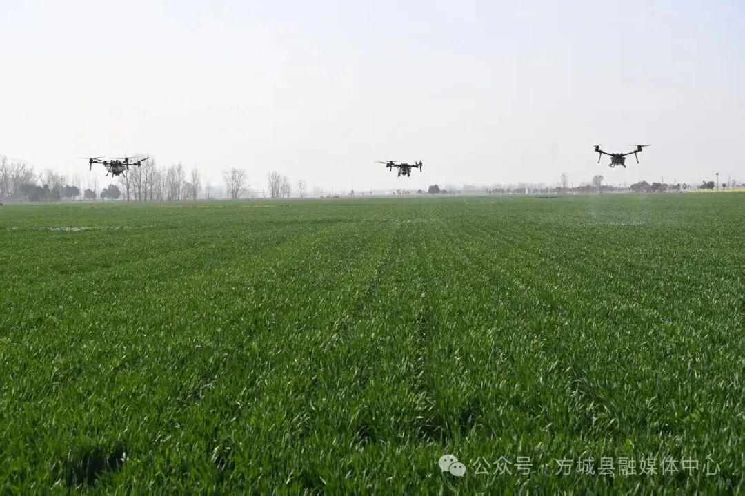 南阳市方城县:春管正当时 农技专家一线“把脉”开良方 南阳市方城县:春管正当时 农技专家一线“把脉”开良方