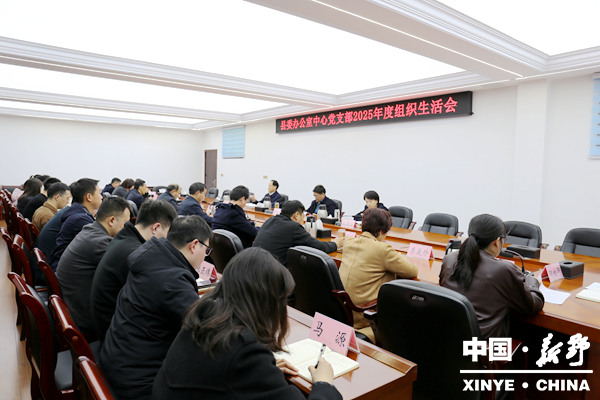 新野县委办公室中心党支部召开2025年度组织生活会 新野县委办公室中心党支部召开2025年度组织生活会