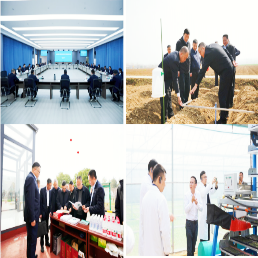 河南省烟叶整地起垄育苗观摩交流会议在南阳顺利召开