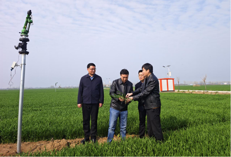 宛城区开展农业农村工作专题调研 宛城区开展农业农村工作专题调研