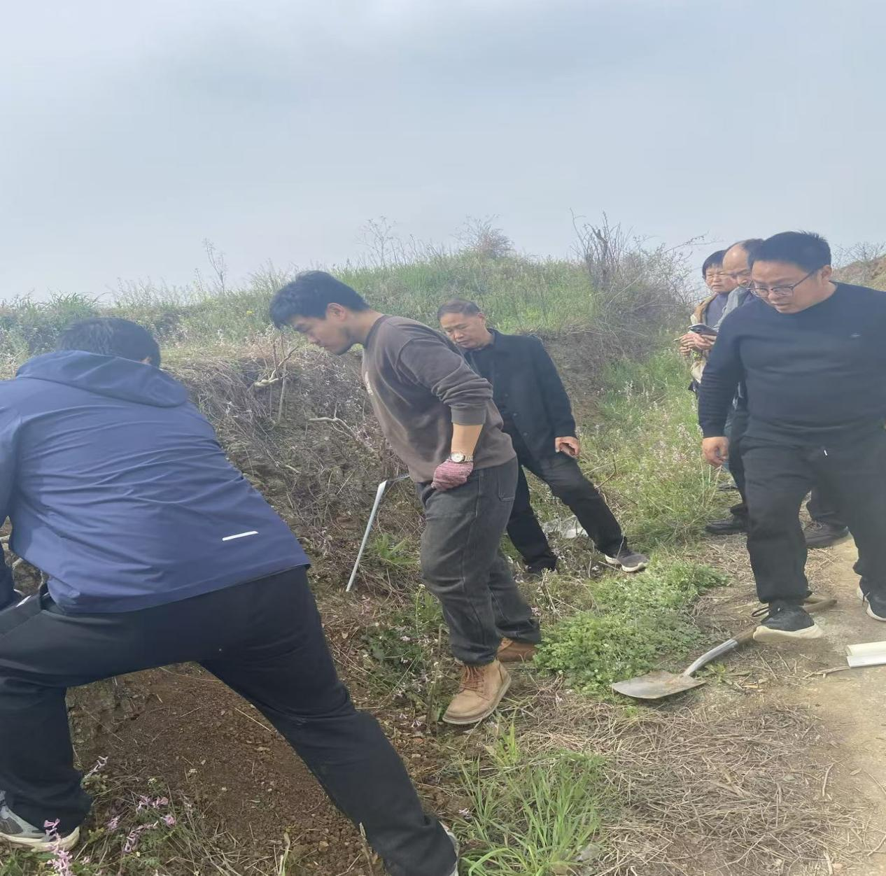 镇平开展第三次全国土壤普查 土壤类型图野外验证工作