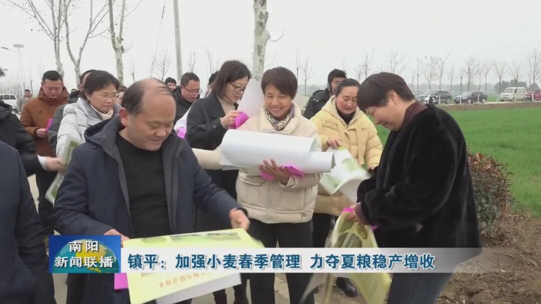 镇平：加强小麦春季管理&nbsp;力夺夏粮稳产增收