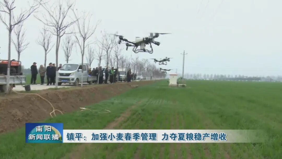 镇平：加强小麦春季管理&nbsp;力夺夏粮稳产增收
