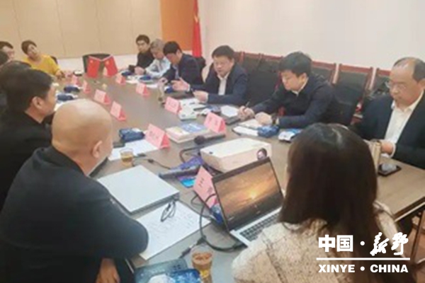 新野县政府县长李文鹏率队赴中国艺术文化发展中心考察交流