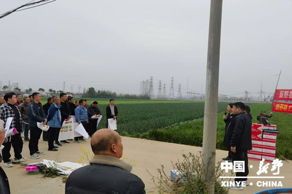 上港乡送技术忙春管 早行动化风险