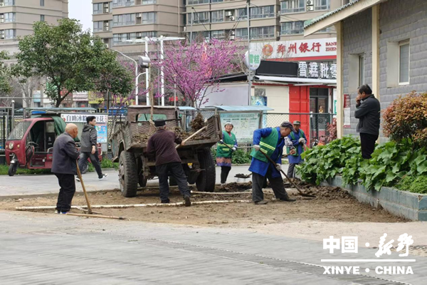 县城管局园林中心：聚焦民生解民忧整治非法占用优环境