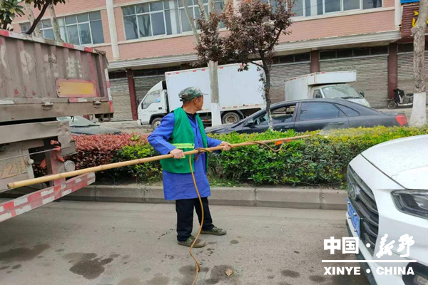 县城管局园林中心开展绿篱虫害专项喷药防治工作