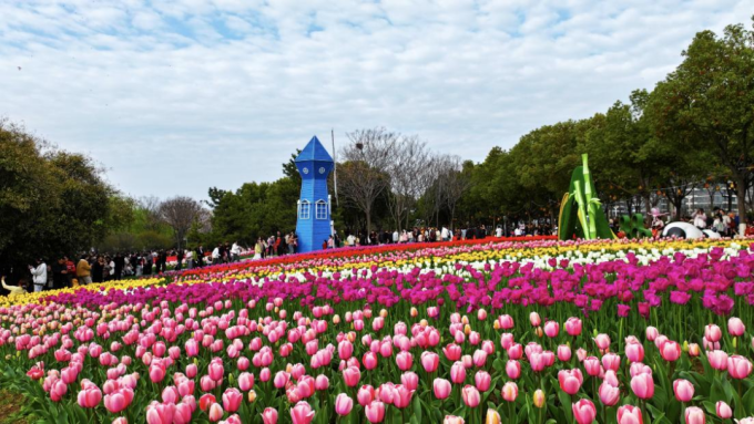 春满新野 花漾生态  ——邀您共赴春日之约