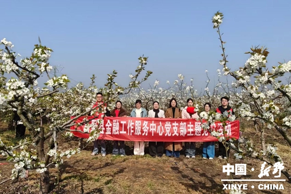 县金融工作服务中心党支部开展主题党日活动