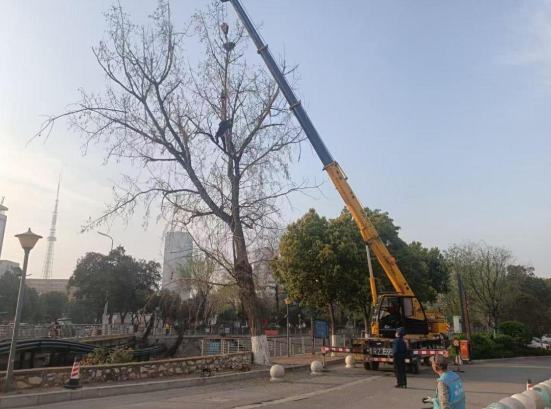 9967577473749427 49fcef209f56a1486e1eba9c1b38b3f7.png