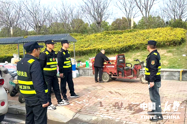 市民点赞：新野的郁金香美，花海里的“城管蓝”更美