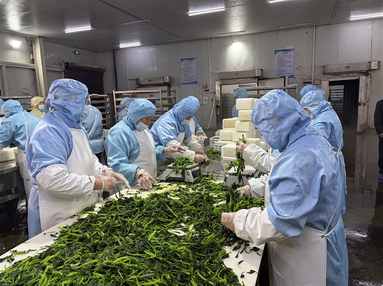 河南的春天有多野 河南的春天有多野