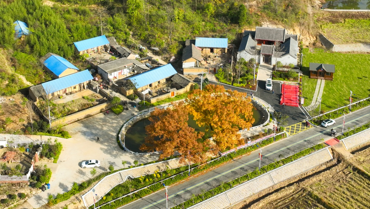 桐柏县“淮南茶旅游公路”入选“2026全国茶乡旅游精品景点线路”