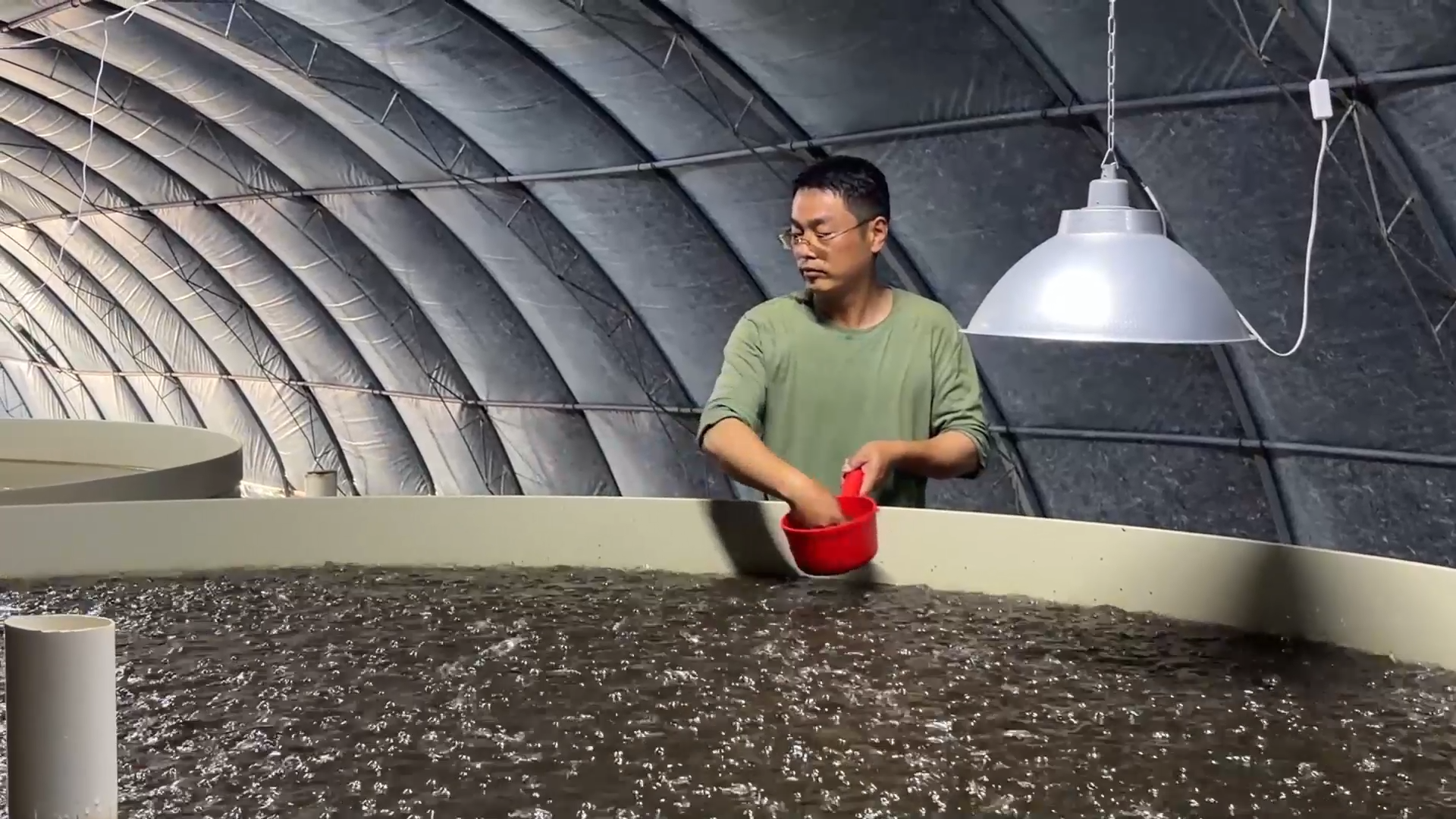 4672821163478201 664d3a92cf8d76858427f42ab00875bc.png