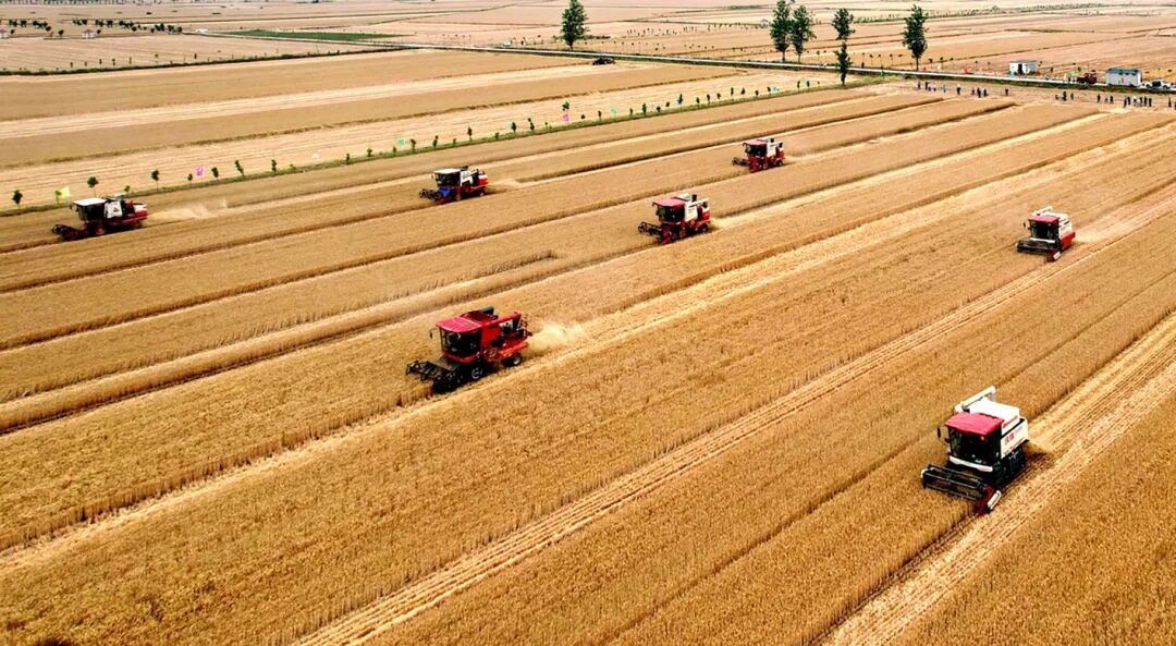 市长声音丨南阳市市长路红卫： 聚焦“六个坚持、三个强化” 建设现代化省域副中心城市