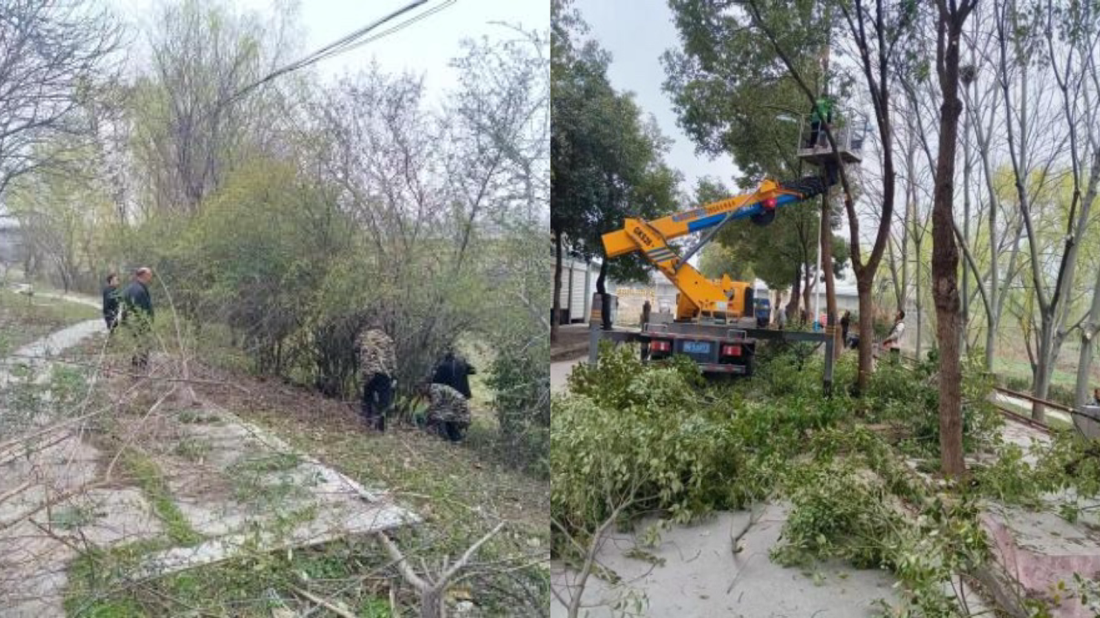 8923926525628636 2ff27a122f436a1f73b5880c8fdc0610.png