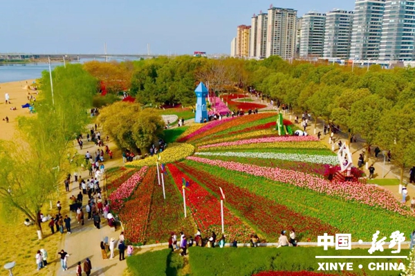 花漾新野 文旅出彩——新野赏花旅游季精彩纷呈 花漾新野 文旅出彩——新野赏花旅游季精彩纷呈