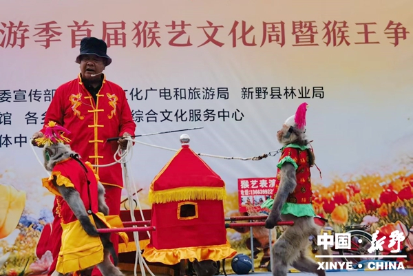 新野县首届猴艺文化周及猴王争霸赛圆满落幕 新野县首届猴艺文化周及猴王争霸赛圆满落幕