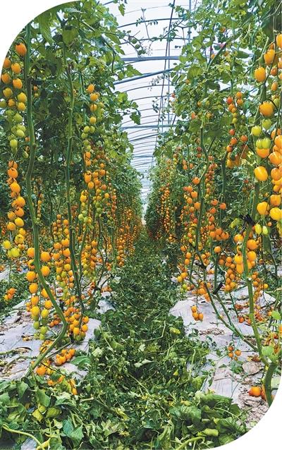 17873859151143013 202604079c81c495481e4cc1b8326734f3f9d785_20260407d534865242c64711bd5095b6f955d8cf.jpg