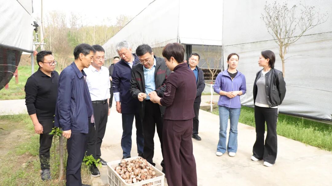 郭幸生局长深入桐柏县调研森林防火及乡村振兴工作 郭幸生局长深入桐柏县调研森林防火及乡村振兴工作