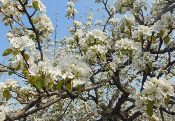 5837826064519598 3.png