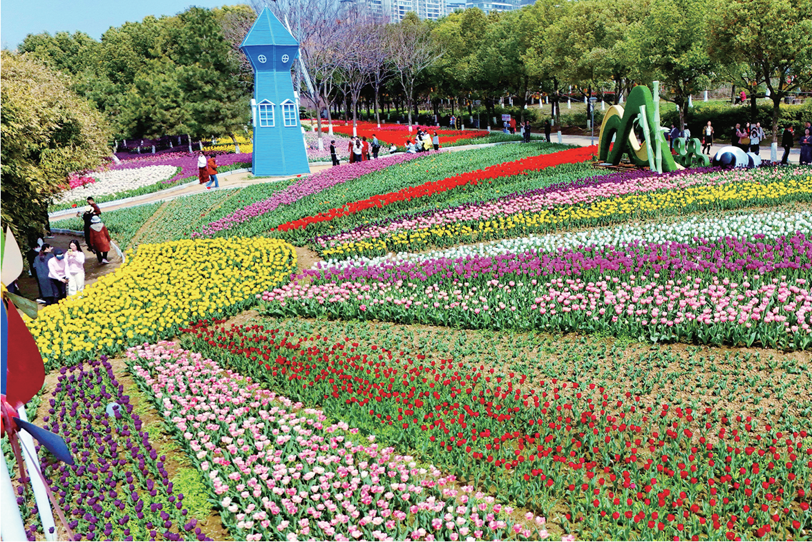 从“看风景”到“过生活”,从“单点打卡”到“全链驱动”—赏花经济激活一池春水 从“看风景”到“过生活”,从“单点打卡”到“全链驱动”—赏花经济激活一池春水