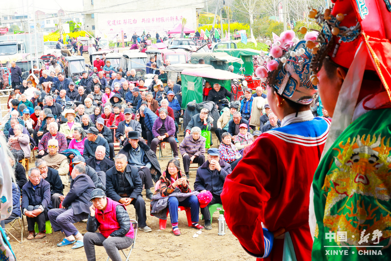 梨云漫野·雪染上庄 梨云漫野·雪染上庄