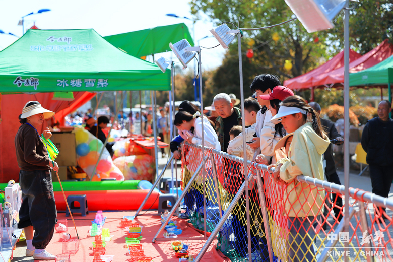 梨云漫野·雪染上庄 梨云漫野·雪染上庄