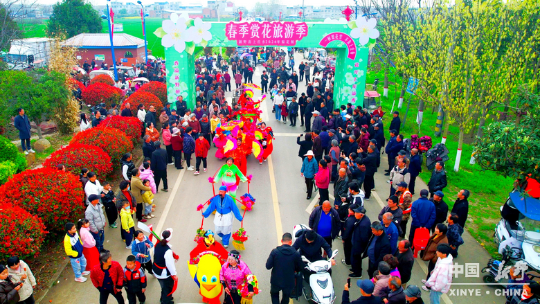 梨云漫野·雪染上庄 梨云漫野·雪染上庄