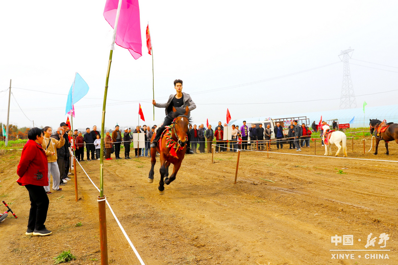 梨云漫野·雪染上庄 梨云漫野·雪染上庄