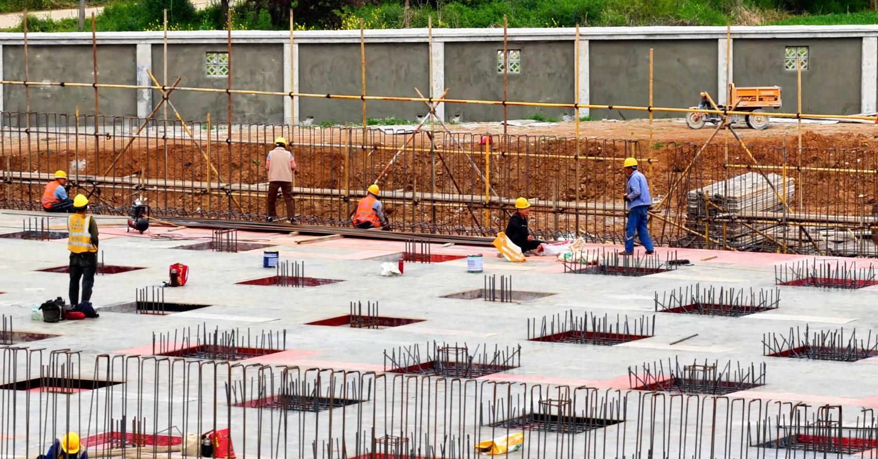 6750209957904075 687994f2fdd90a9423f00b63fc1da0e3.png