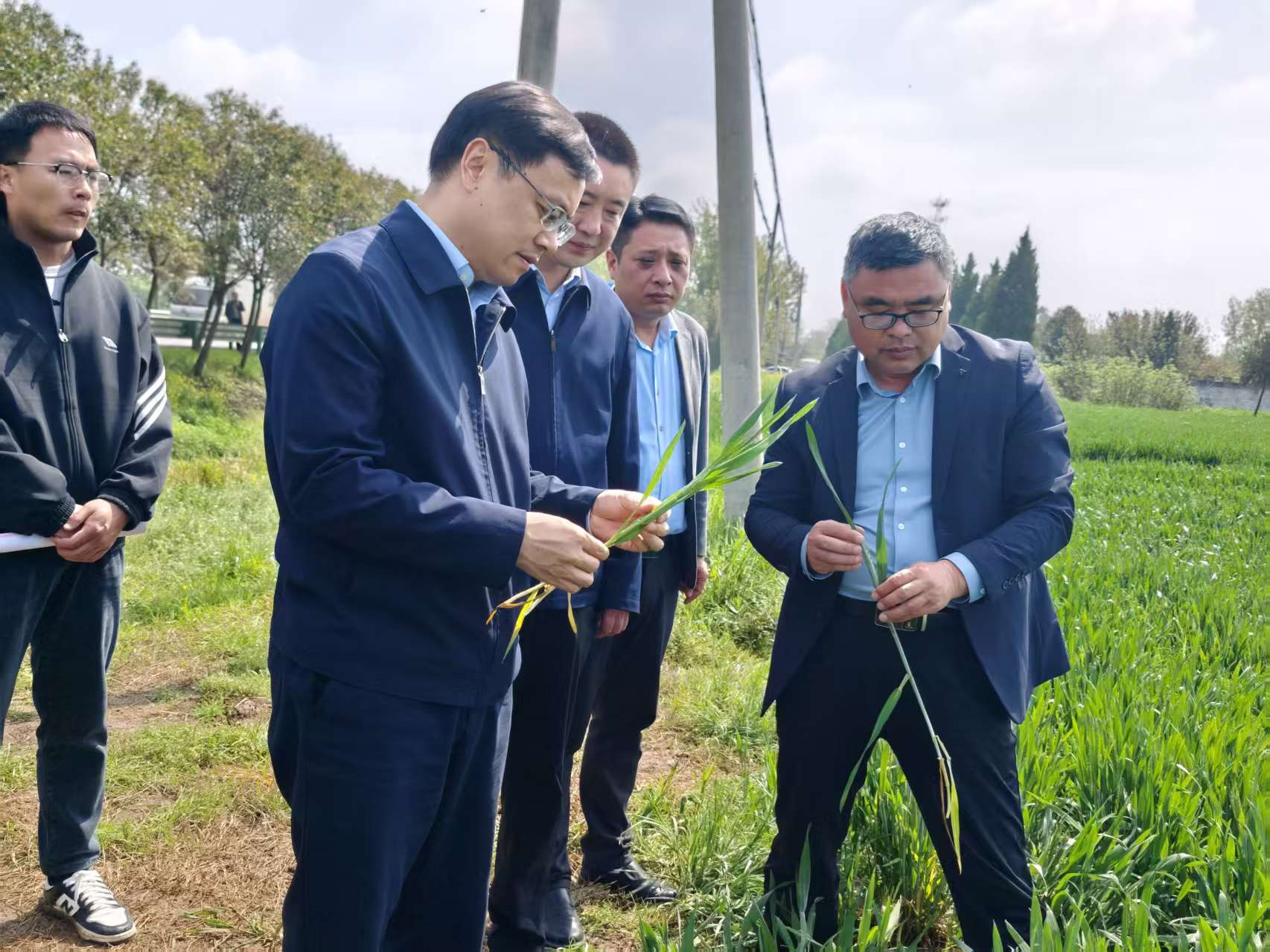 关文波调研开发区项目建设及麦田管理工作