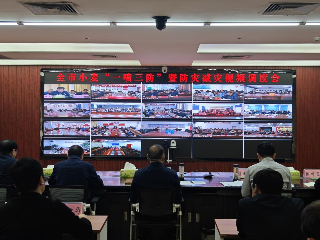 南阳市召开全市小麦“一喷三防”暨防灾减灾视频调度会议