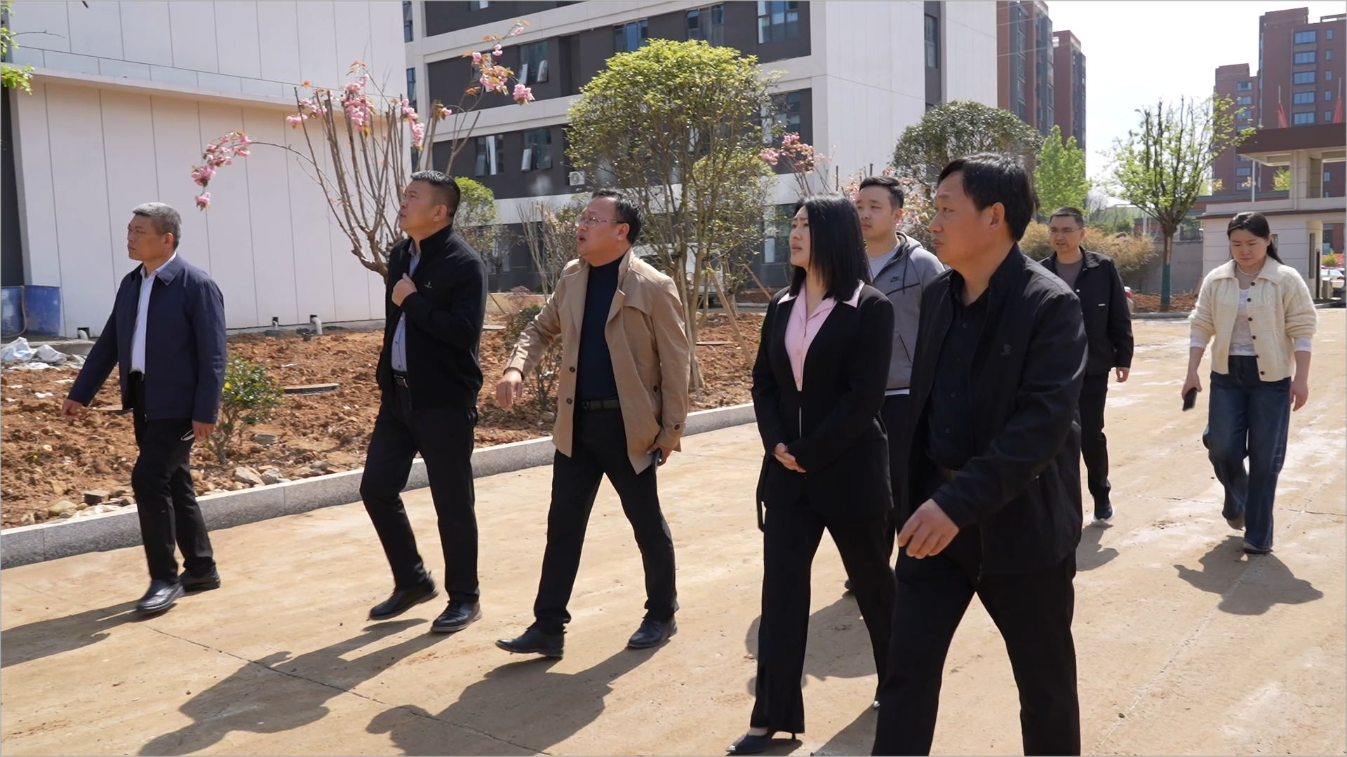 35141218254285313 847339a65c2a09cc58c53849d9143678.png