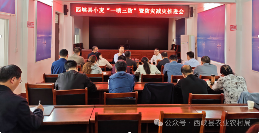 西峡县召开“一喷三防”暨防灾减灾工作推进会