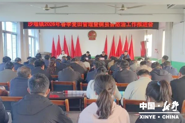 沙堰镇:护航小麦生长 夯实丰收基础 沙堰镇:护航小麦生长 夯实丰收基础