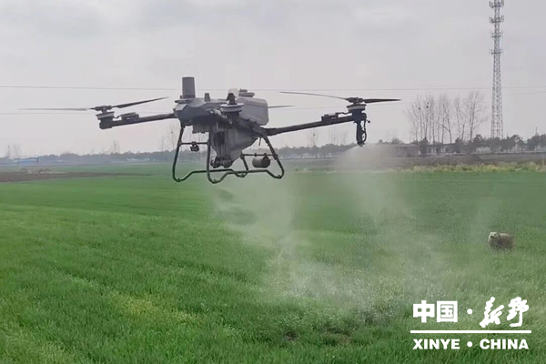 沙堰镇:护航小麦生长 夯实丰收基础 沙堰镇:护航小麦生长 夯实丰收基础