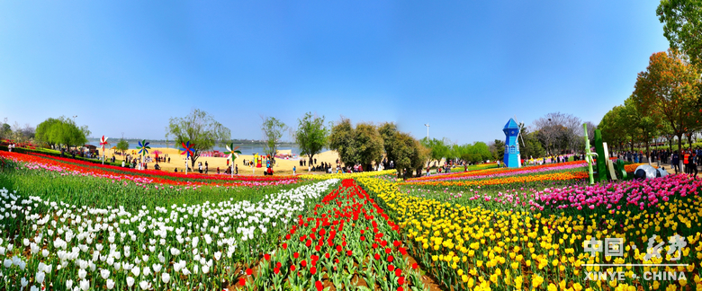 游尽欢，夜未央；盼来年，再重逢