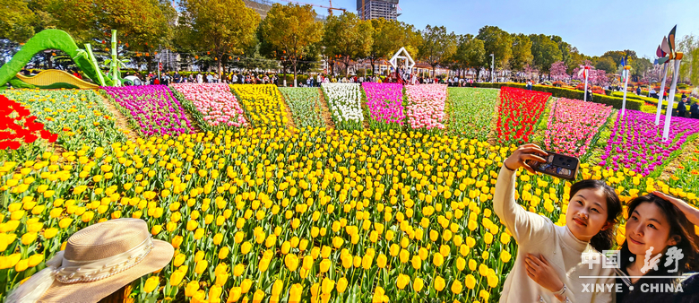 游尽欢，夜未央；盼来年，再重逢