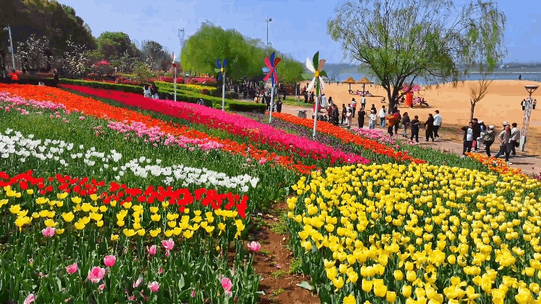 游尽欢，夜未央；盼来年，再重逢