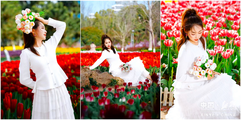 游尽欢，夜未央；盼来年，再重逢