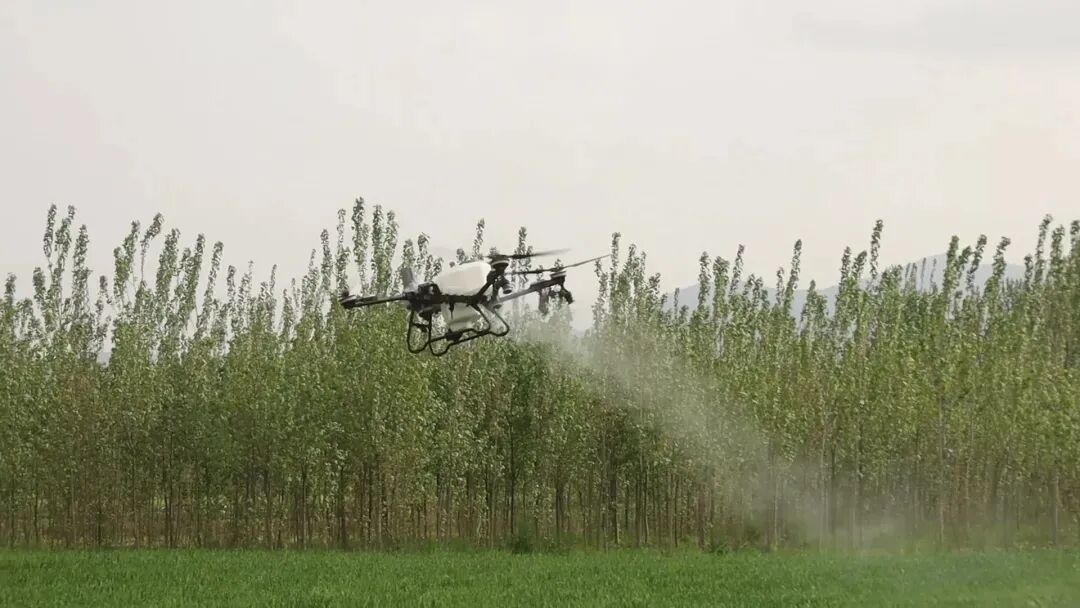 淅川:科技赋能提速增效 抢抓农时护丰收 淅川:科技赋能提速增效 抢抓农时护丰收