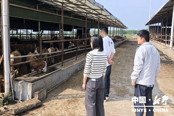 县统计局开展“四农普”畜禽养殖现场核查工作