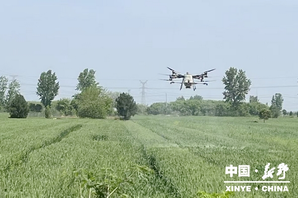 汉华街道：“一喷三防”圆满收官 统筹护航夏粮丰收