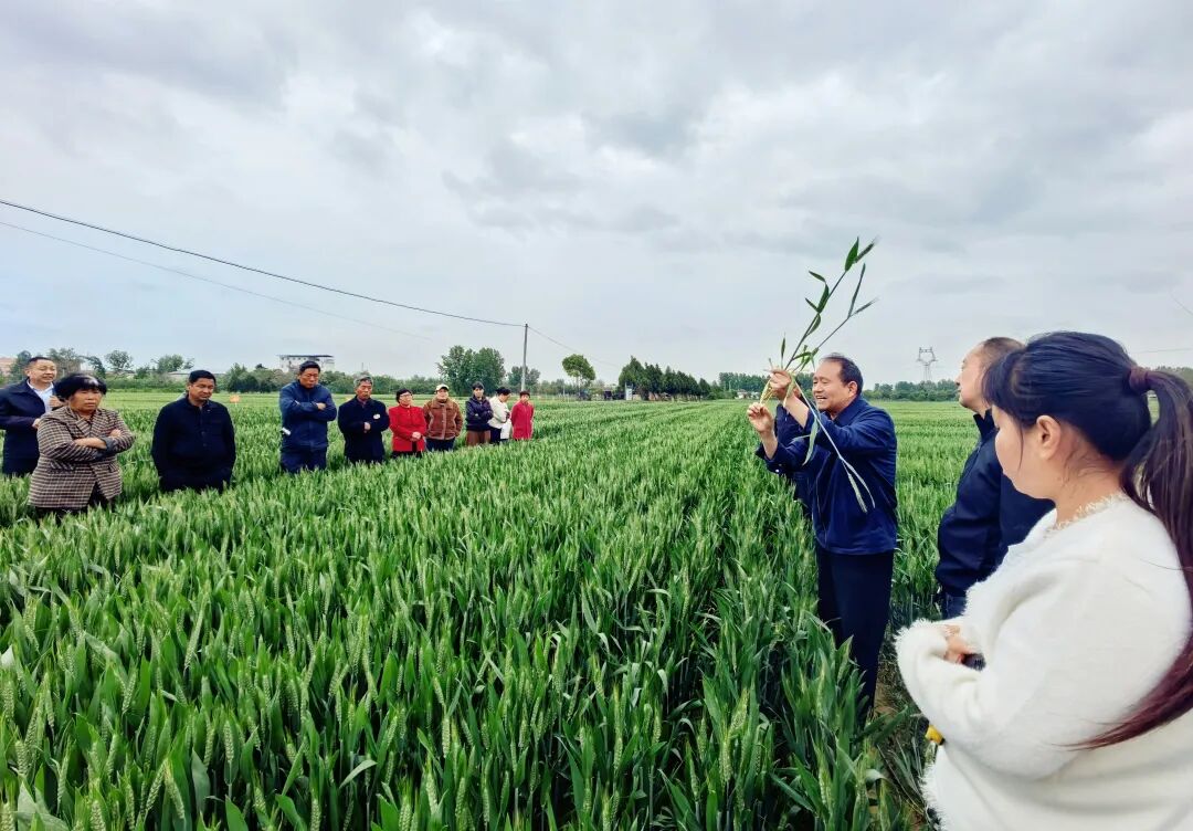 卧龙区：按需施教助春耕 粮油增产添动能