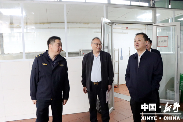 新野县人大常委会专题视察 2025年环境状况和环境保护目标完成情况