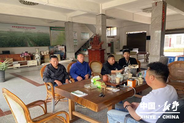 上港乡“洋葱故事会”讲出葱农新希望