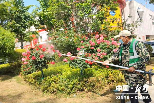 县城管局园林中心：以红领绿精管养 助力盛会暖民心